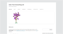 Desktop Screenshot of lilactreeconsulting.com